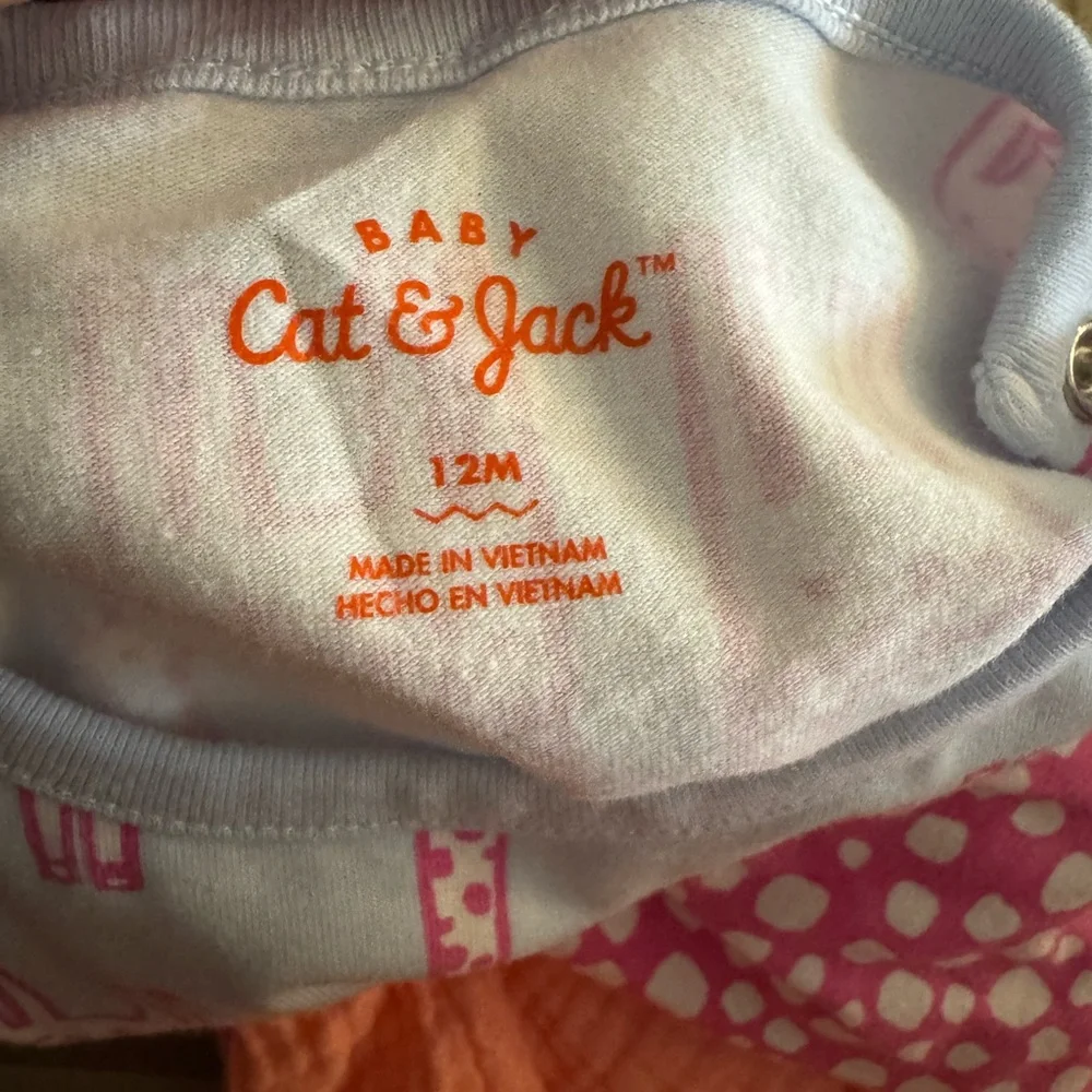 Pink and Blue Giraffe Print Baby Outfits Set